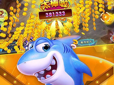 星力十代全新